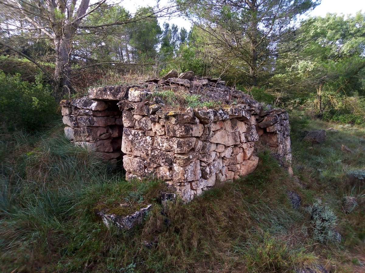 barraquespedra's tweet photo. Quan ja tornàvem, dons premi. Una barraca de #pedraseca sota un pi. Esta inventariada a #WIKIPEDRA però no la teníem nosaltres. Recordeu, que sortim seguint camins i corriols, si en trobem bé, i si no també. @catpaisatge @CIPSTorrebesses @fundacioelsola @anoiapatrimoni https://t.co/DyvHVCYHGD