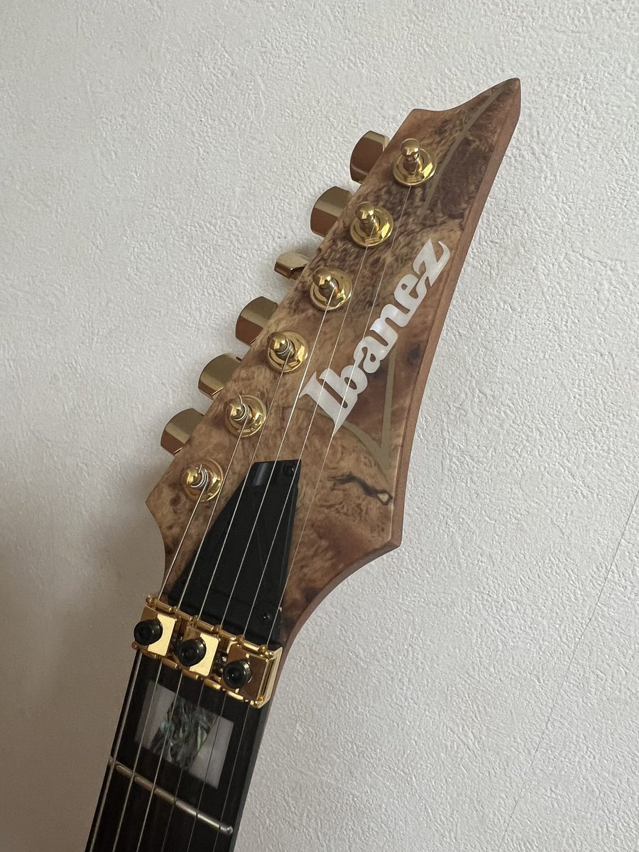 __r9_2's tweet photo. my new gear…
Ibanez Premium RGT1220PB-ABS

誕生日祝いに買いました✌️
ほんとにカッコよくてニヤニヤ止まらん！！ https://t.co/wyY3P70SjR