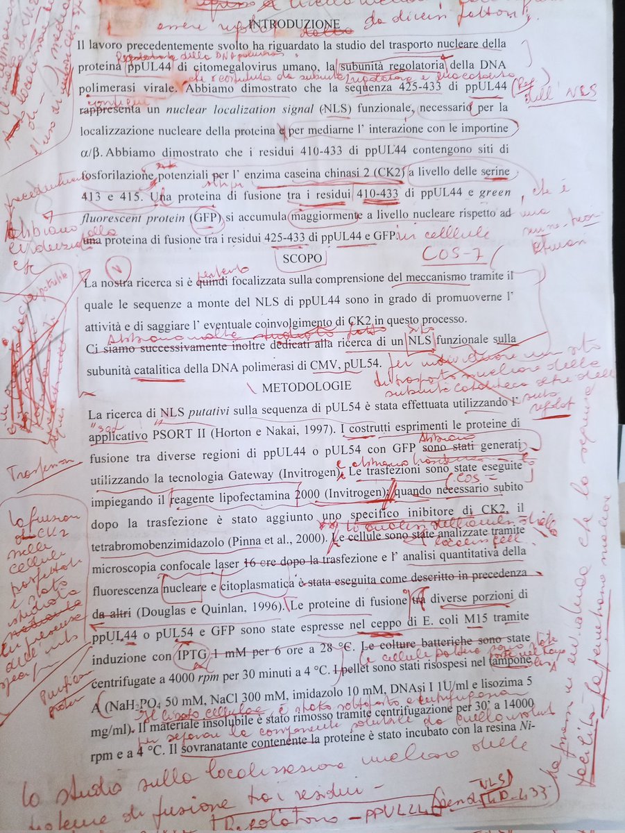 _Alvisilab_'s tweet image. First page of corrections of my PhD summary draft from my Supervisor back in 2005. I hated her at the moment then I realised she was making me a big favour. Now I show it to my students BEFORE correcting their thesis. #academicresearsch #PhD #PhDlife