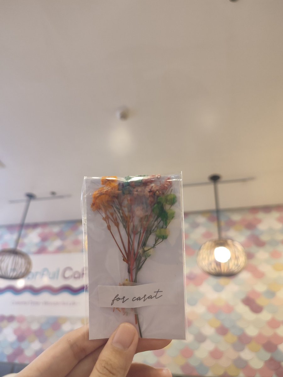 iam_yn_'s tweet photo. Had so much fun at the fundraising event earlier by @seventeenphcebu and @CaratLandPH #SectorPH #SectorCEB #SECTOR17 #SEVENTEEN 💗💙💎
@_dimseom @DinoSeungmin @aigoooooooooos + all the other moots 🥰🤗 https://t.co/z7w9EjNyBs