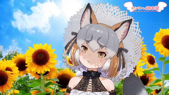 めちゃくちゃかわいい#シマハイ新衣装 
