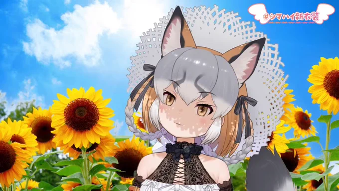 めちゃくちゃかわいい#シマハイ新衣装 