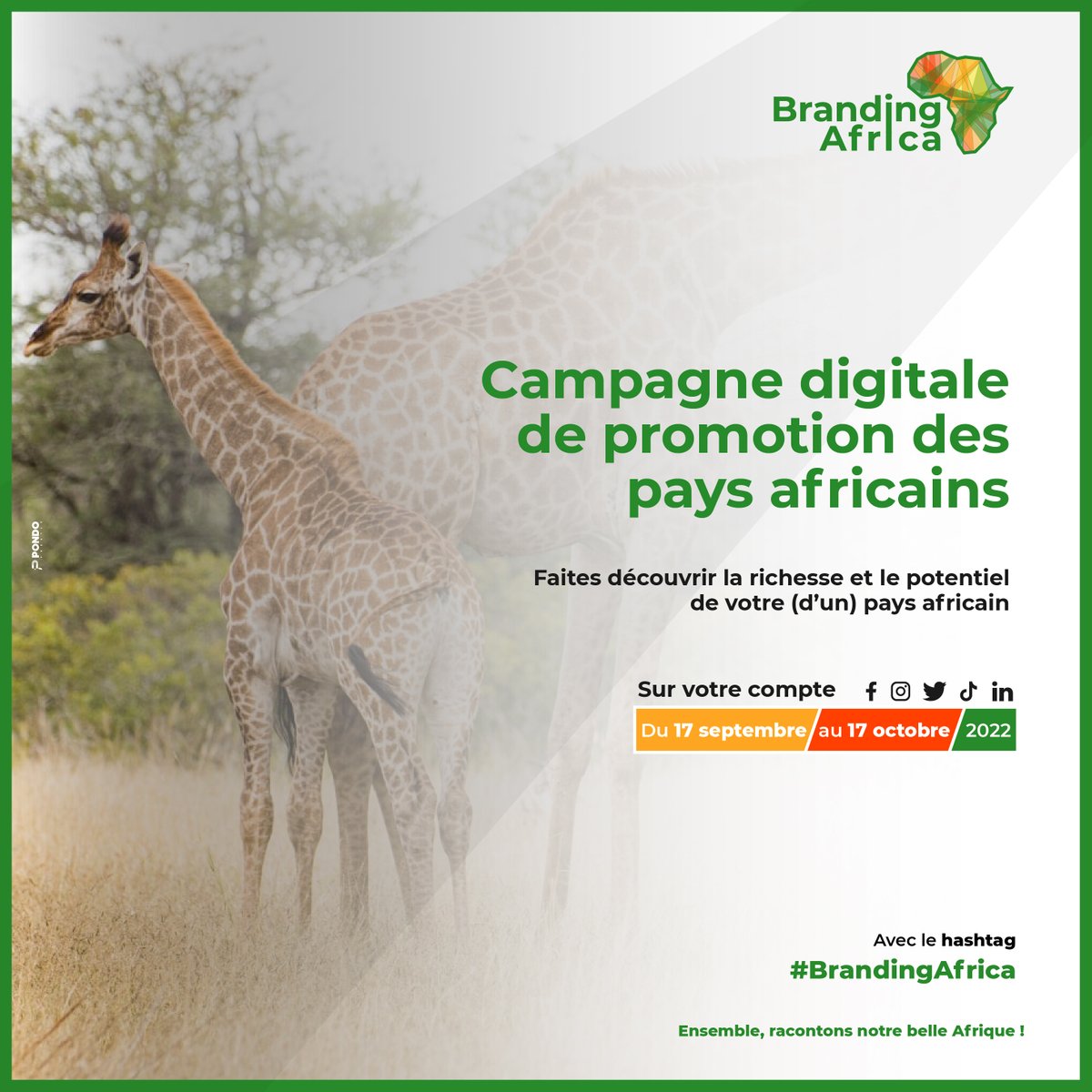 StevyWallace's tweet photo. Jusqu'au 17 octobre 2022 sur nos réseaux sociaux, participons à la campagne digitale #BrandingAfrica parce que le regard global autour du continent africain doit être changé,amélioré, revu puisque peu connu ou mal connu aussi bien par nous même que par les autres.
#nationbranding https://t.co/GHDdTObdAg
