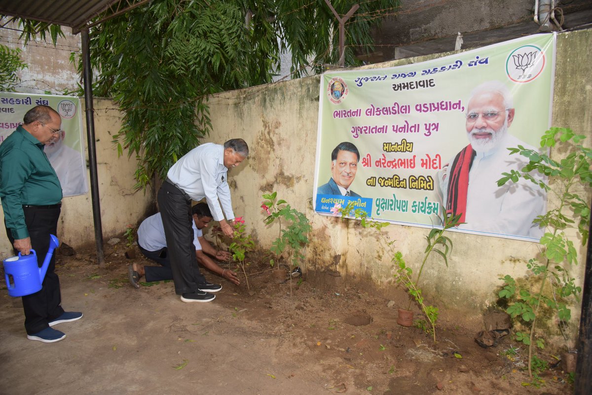 state_soc's tweet photo. On the occasion of 72nd birthday of  our Hon'ble and Beloved Prime Minister Shri Narendrabhai Modi, Gujarat State Cooperative Union organized a tree plantation drive and fruits distribution by the blessed hands of its Chairman Shri Ghanshyambhai Amin at its office premises https://t.co/LPJn1YO18x