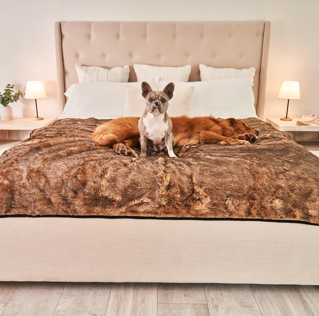 ProductImagine's tweet photo. PupProtector™ Waterproof Throw Blanket - Green Buffalo Plaid😍😍

🅱🆄🆈 🅾🅽🅴 🅷🅴🆁🅴--->https://t.co/zr9hFEXlah

#GreenBuffalo #Blanket #Waterproof #PupProtector #DogBed #Foam #CurveWhite #Product #Dog #attractive #luxuriousdesign #PupRug #Basketball #ProductImagine #bed https://t.co/qGL7QkD2TU