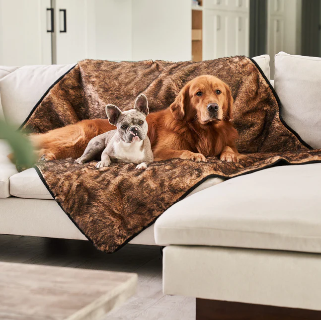 ProductImagine's tweet photo. PupProtector™ Waterproof Throw Blanket - Green Buffalo Plaid😍😍

🅱🆄🆈 🅾🅽🅴 🅷🅴🆁🅴--->https://t.co/zr9hFEXlah

#GreenBuffalo #Blanket #Waterproof #PupProtector #DogBed #Foam #CurveWhite #Product #Dog #attractive #luxuriousdesign #PupRug #Basketball #ProductImagine #bed https://t.co/qGL7QkD2TU