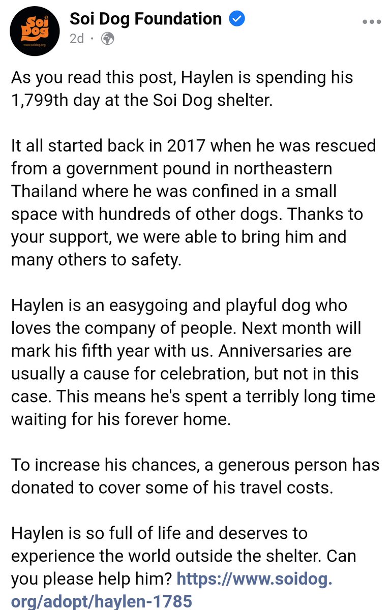 drecymech's tweet photo. π Haylen.. Waiting 1801 days π
https://t.co/UXtxYAYC6P
https://t.co/0FydMqiGfj
#SoiDogs #AdoptDontShop https://t.co/E1pkGkvNQ8