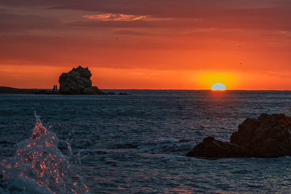 lluis_ivan's tweet photo. Disfrutant de l'albada
#calella #NFTCommunity #photography #photooftheday #albada #photographer https://t.co/n1Pl0OPp2h