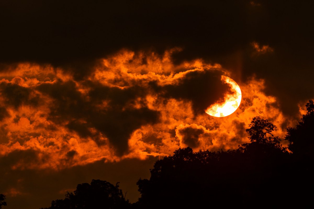 UTKnoxville's tweet photo. Orange in the morning, Akron take warning. https://t.co/68Dnn2YRwC