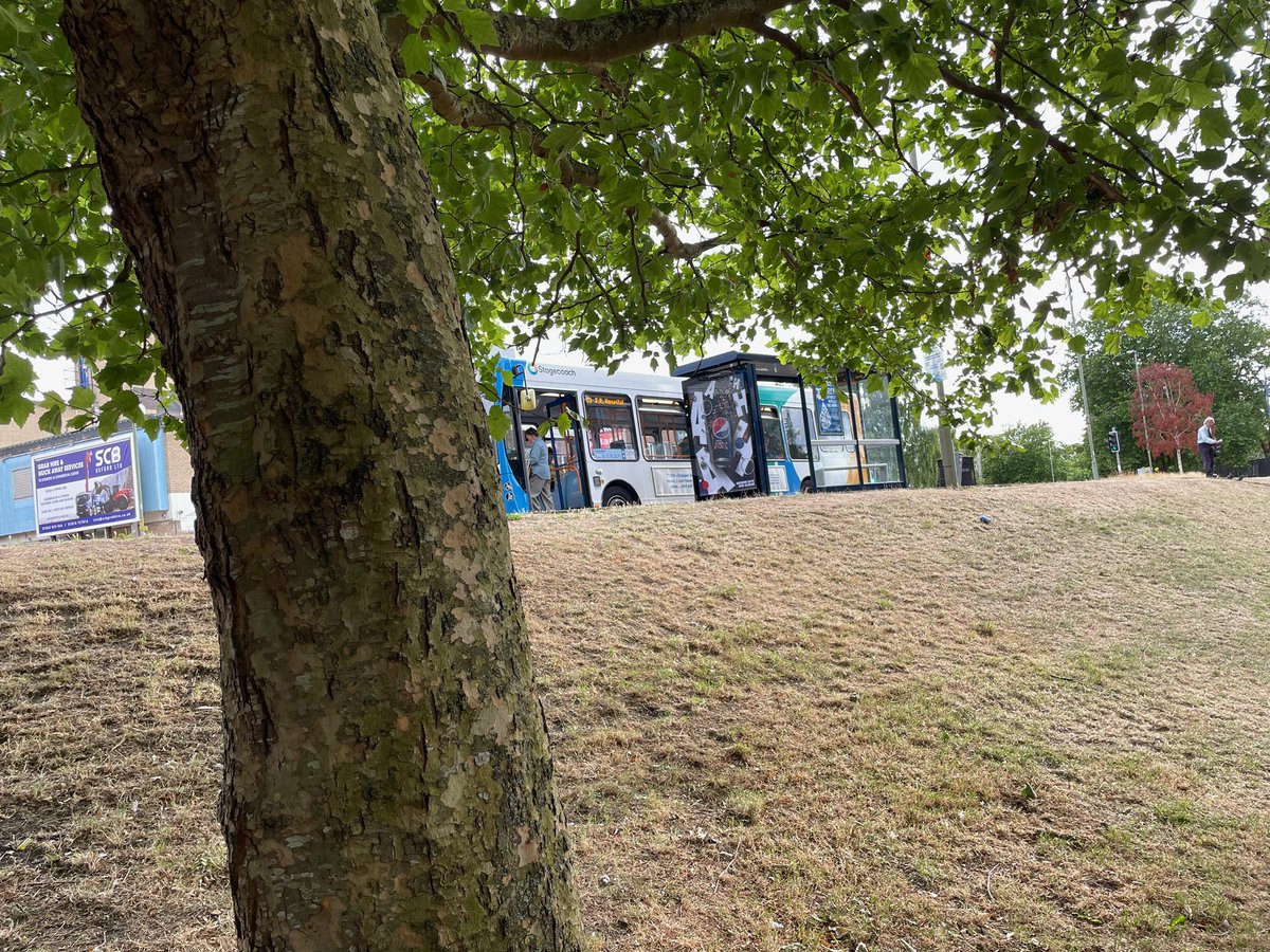 OxfordPlanit's tweet photo. @OxfordLung @StJohnsOx @UniofOxford @oxfordnorth @OxcamCloc @purrrmeister @LaylaMoran ‘Tree lined’, ie trees outside only..? @oxfordnorth I see mature, beautiful trees being cut down and replaced by weedy saplings all over the shire. https://t.co/XCdOdSGtbC