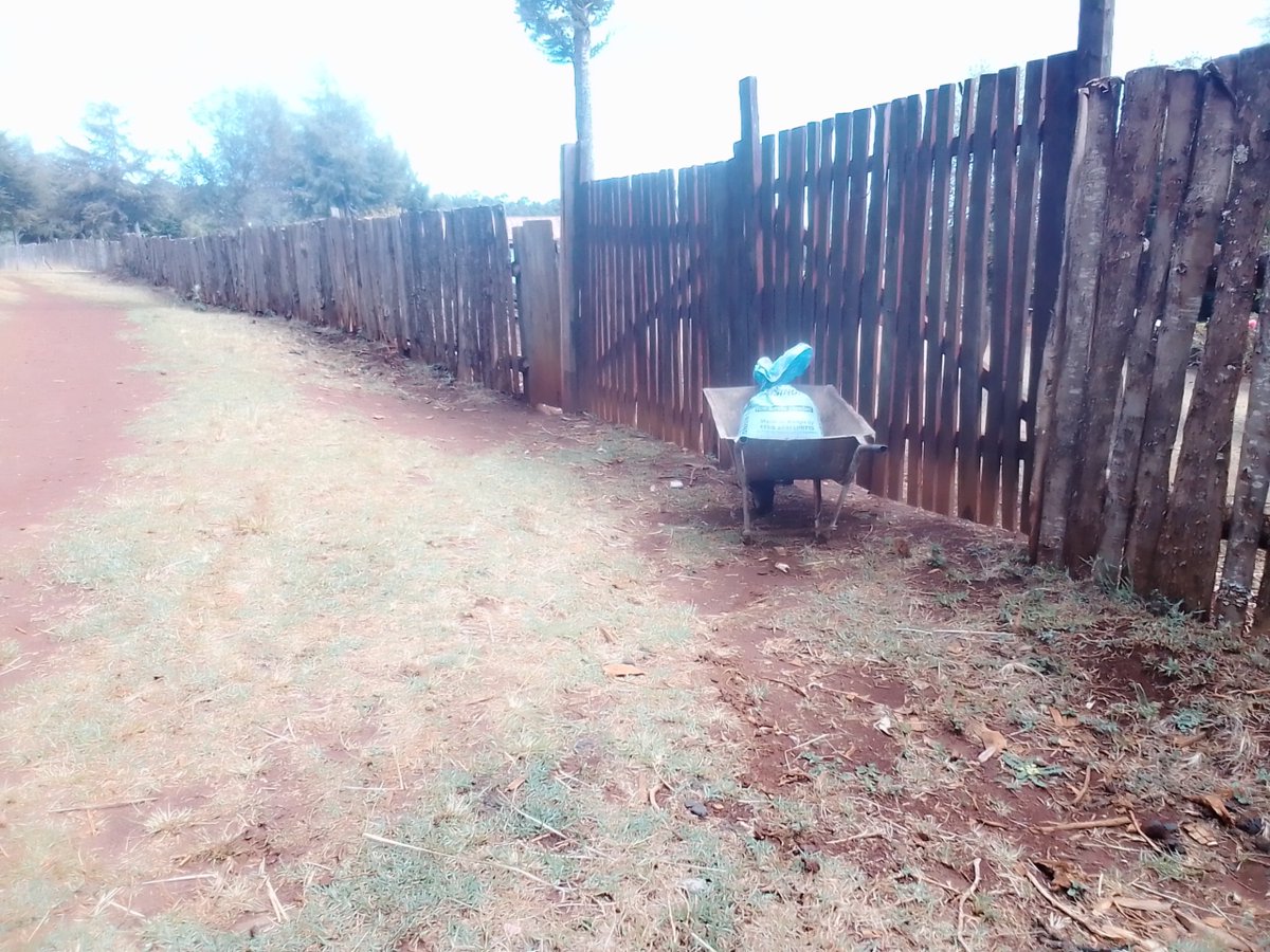 Leonardlangato1's tweet photo. @WilliamsRuto Look at my wheelbarrow it was waiting for the gate to be open but 3months later the big machines are following the wheelbarrow! #farmingisreal📌 https://t.co/VX8Kyx21S6