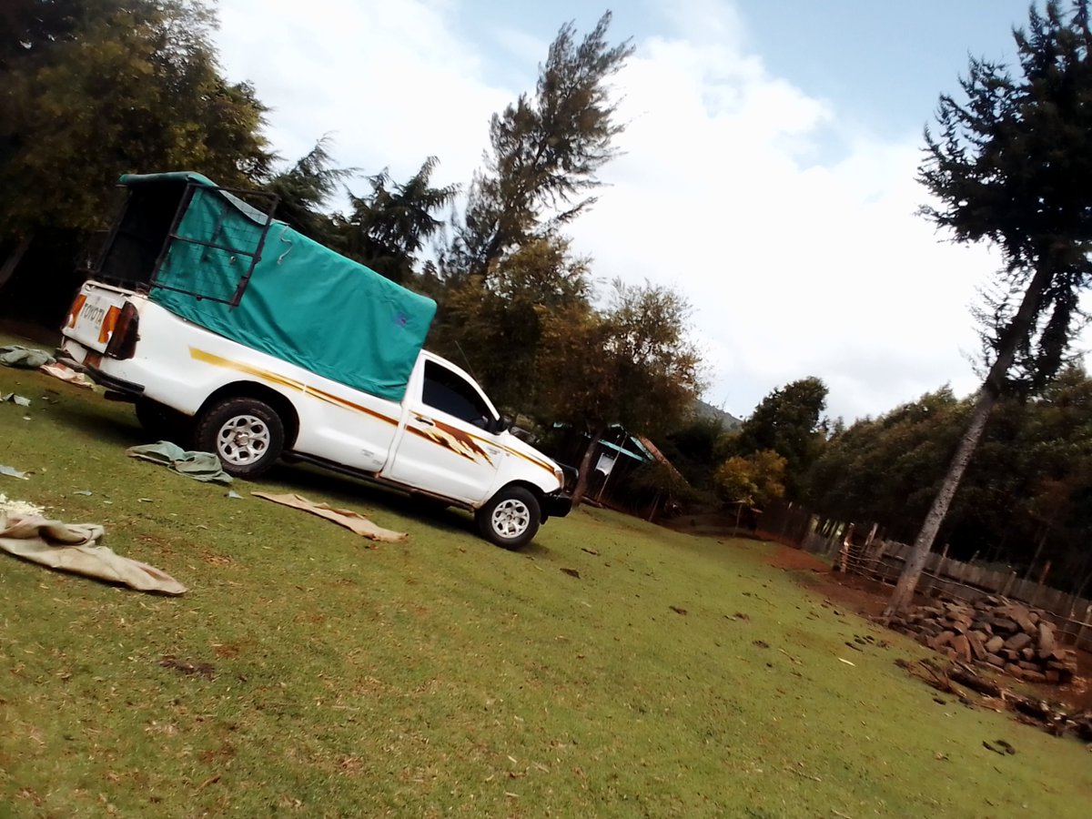 Leonardlangato1's tweet photo. @WilliamsRuto Look at my wheelbarrow it was waiting for the gate to be open but 3months later the big machines are following the wheelbarrow! #farmingisreal📌 https://t.co/VX8Kyx21S6