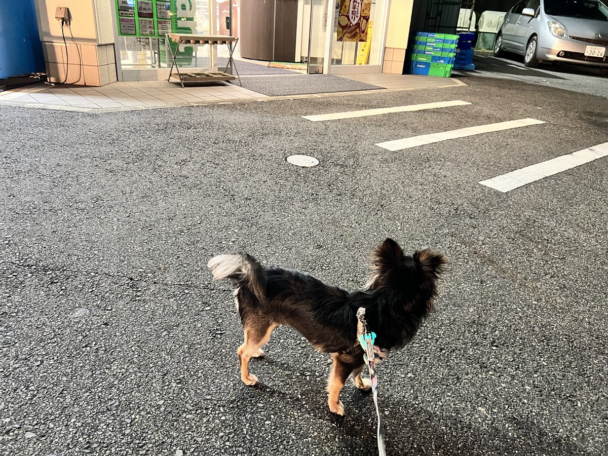 Ayano Aya08osushi Twitter
