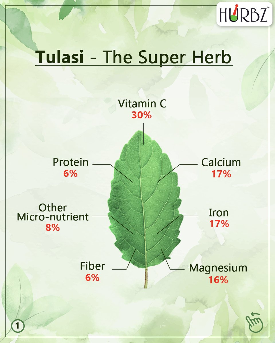 HurbzIndia's tweet photo. #ayurvedicsuperfood
🌱Of all the herbs used in #Ayurveda Tulasi (Ocimum sanctum Linn) is pre-eminent, and modern scientific research is confirming its beneficial effects. 

➡️ Follow @HurbzIndia

#Hurbz #Reengineeringhealth  #tulsi #basilleaves🍃 #adaptogenicherbs #ayurveda https://t.co/C6d6R2c9XP