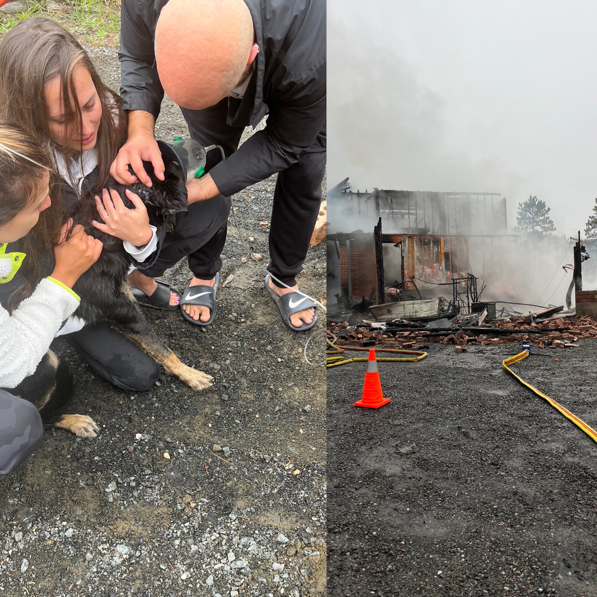 Jesse Oshell on Twitter: 