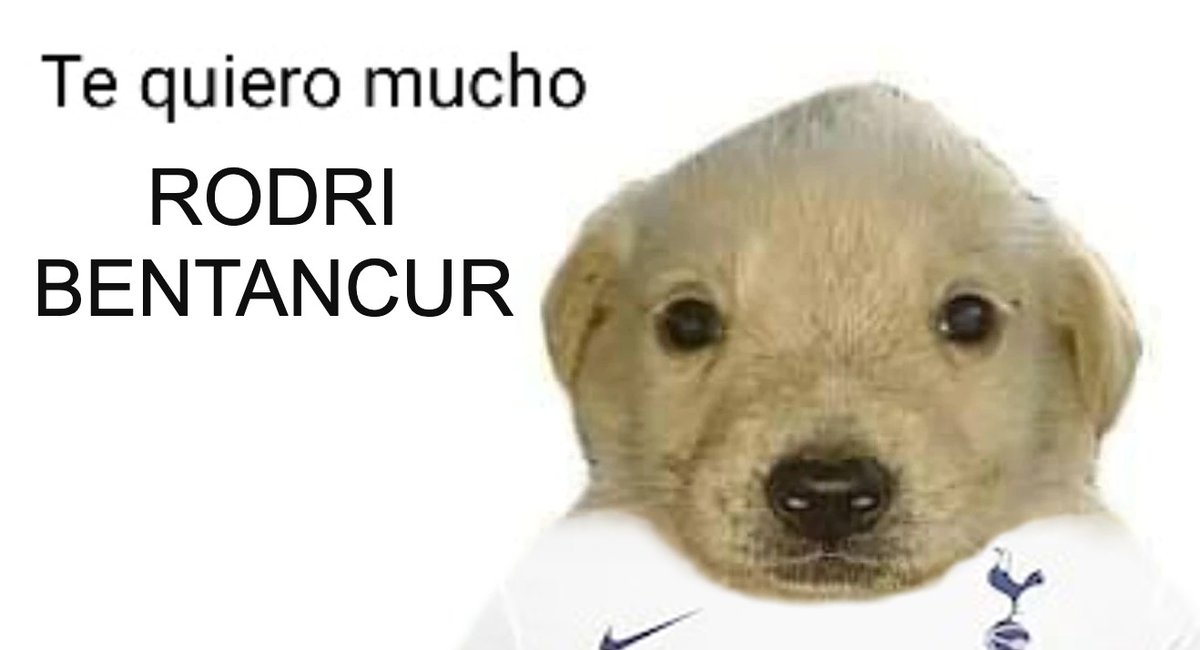 TottenhamBrasil's tweet photo. https://t.co/n1VcVciRZK