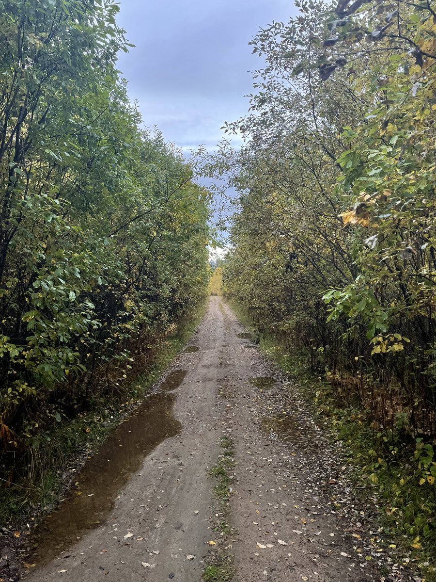 tliedes's tweet photo. Iltakävelyllä. Kylläpä sielu lepää. https://t.co/DVLk3udJZy