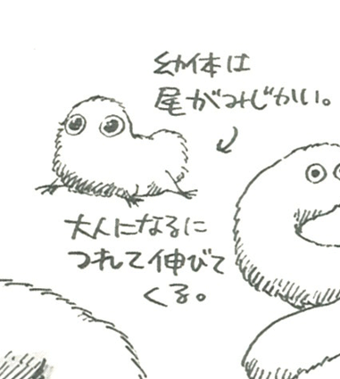 Witch Hat Atelier Wiki Official tweet media