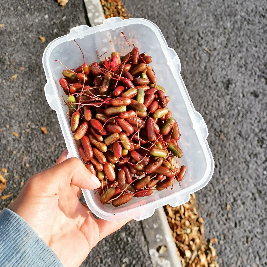 Natalia Uí Fhaoláin tweet media