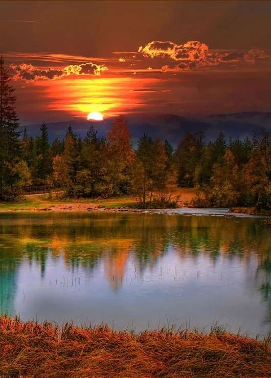 Pleasant evening followers 🦢🕊