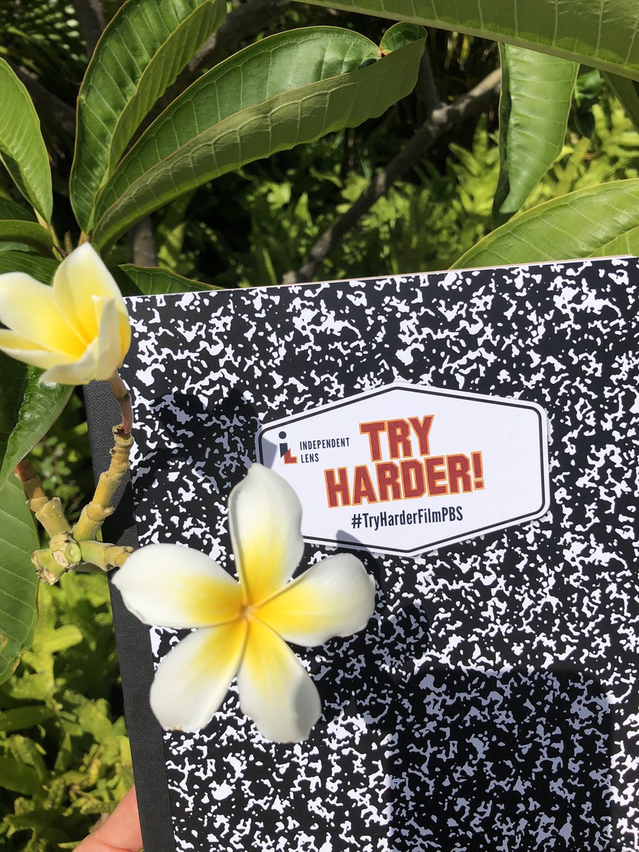 Aloha <a href="/AsianAcadSurg/">SocAsianAcadSurg</a>! Today at 3pm &amp; 5pm see Try Harder!! Be the first 3 and get a free Try Harder! PBS Composition book, ask <a href="/DrSharonLum/">Sharon Lum MD MBA FACS</a>
