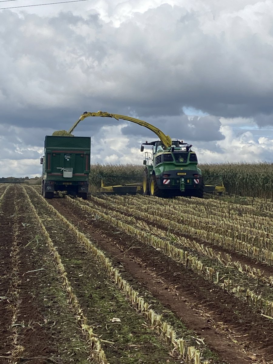 HefinR's tweet photo. Sign of the season - drought hit maize hard on this light land. Yield some 70% of usual but easy early harvest - 4 weeks earlier than 2020
@JohnDeere #Harvestlab highlighting some big difference between fields👌#agtech #nir #johndeere #maize2022 #teamdairy  @Chrisjwilts @ross https://t.co/Jz0X1pEMKk