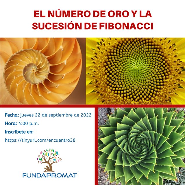 fundapromat's tweet photo. El próximo jueves 22 de septiembre de 2022 a las 4:00 p.m. (hora de Panamá), conoce a Angélica Trejo, Profesora de Matemáticas en niveles básico y medio superior en México. 

Inscripción: https://t.co/NsaQs4n7Fa https://t.co/35a7E3TK8L