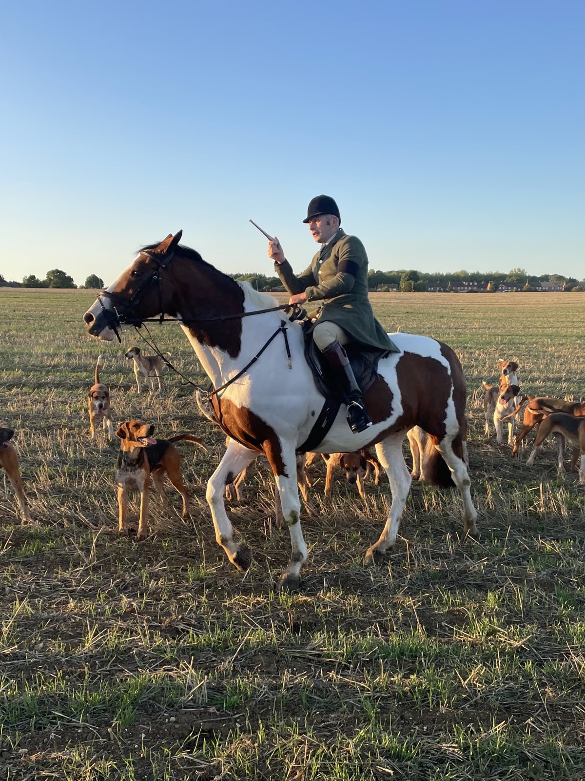North London Hunt Saboteurs (NLhuntsabs) / Twitter
