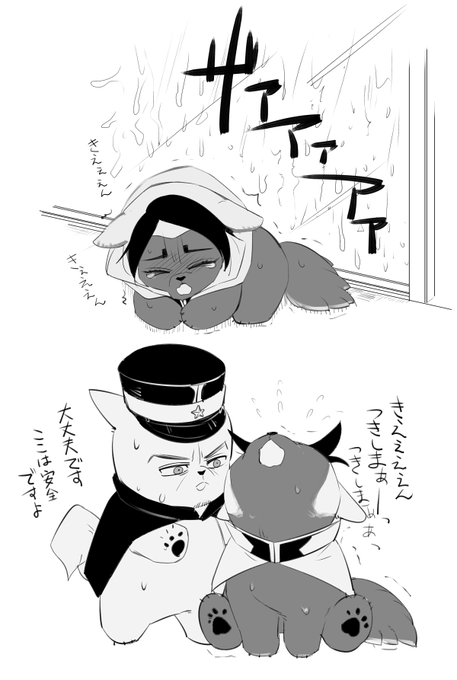 箱入りくずりちゃんと初めての台風🌀 
