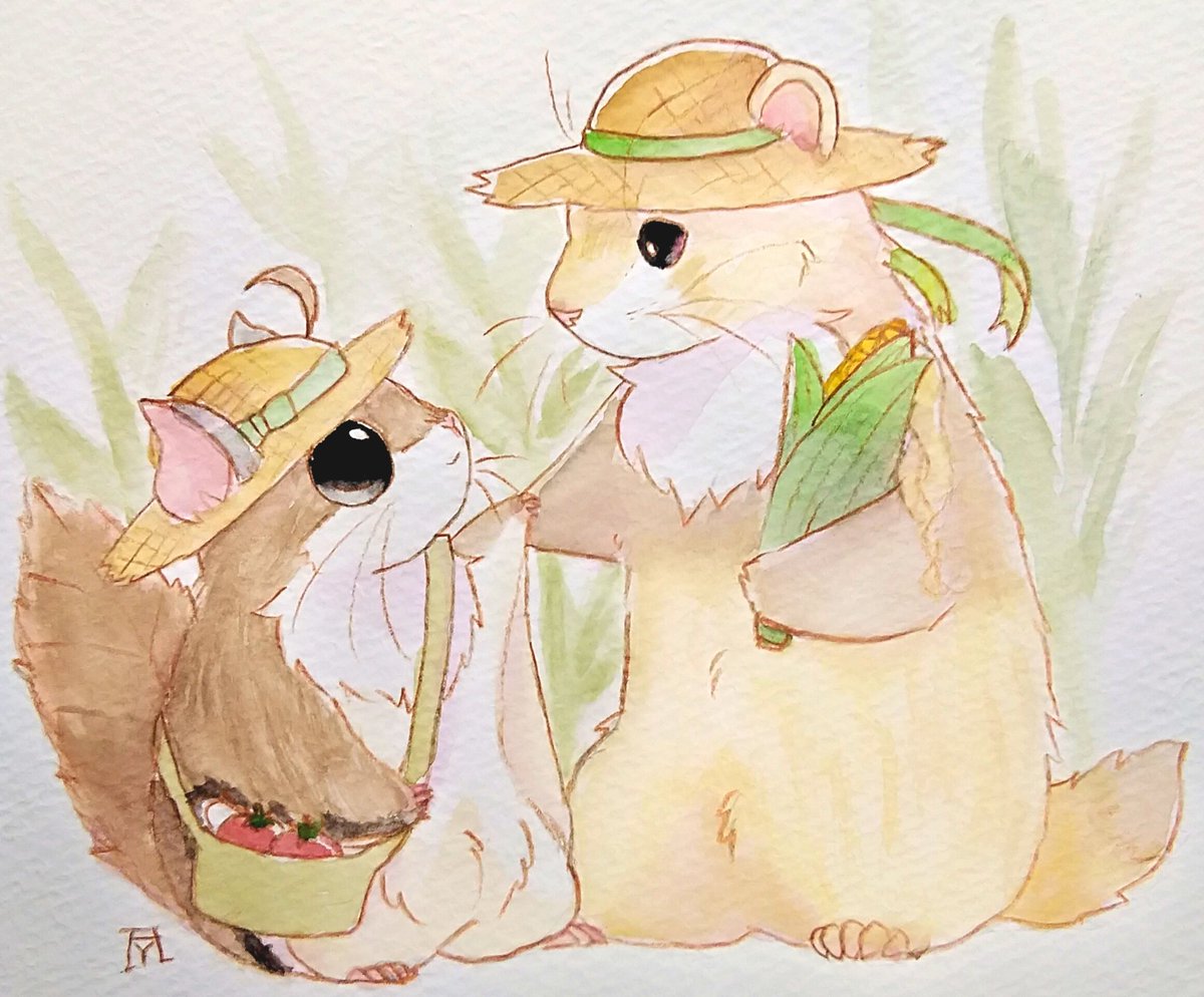 hat no humans traditional media animal straw hat bag basket  illustration images