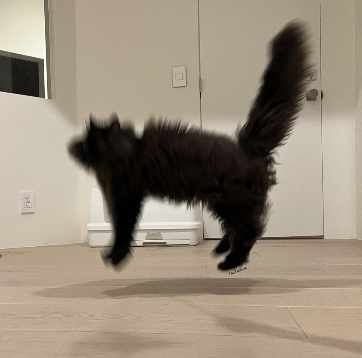 CATBRAINCELL's tweet photo. SCARY SCP SIGHTING CAUGHT ON CAMERA https://t.co/QwgcT8PBn1