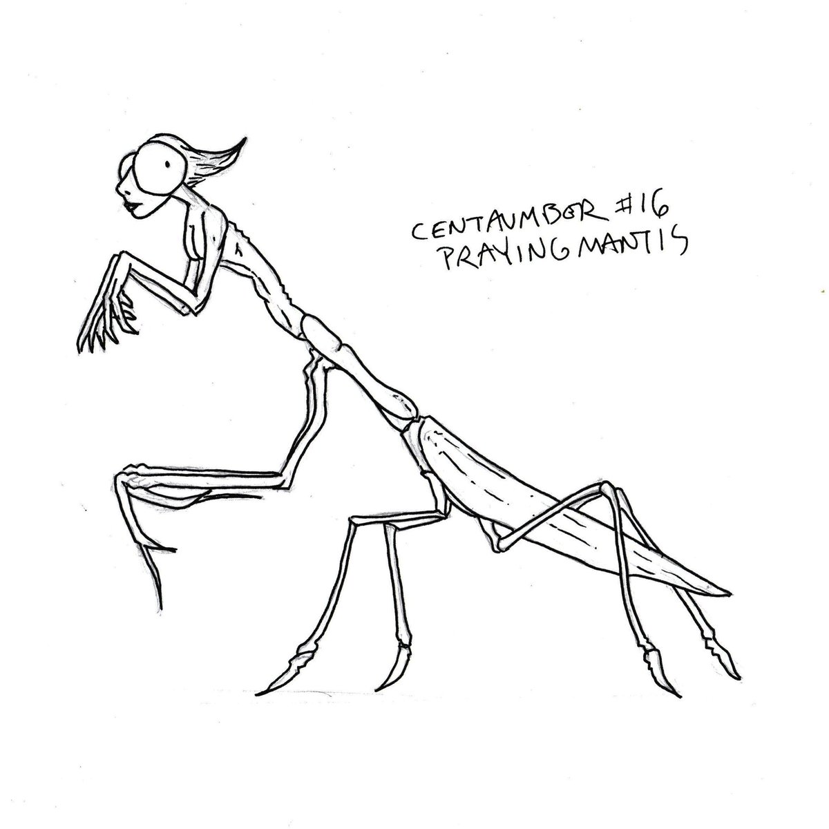 byduncanshields's tweet photo. My September drawing challenge this year is Centaumber which will be the 'centaurification' of non-horse animals. This is #16: Praying Mantis. #centaumber #centaur #inktember #hybrid #animal #prayingmantis https://t.co/daxiVILjU9