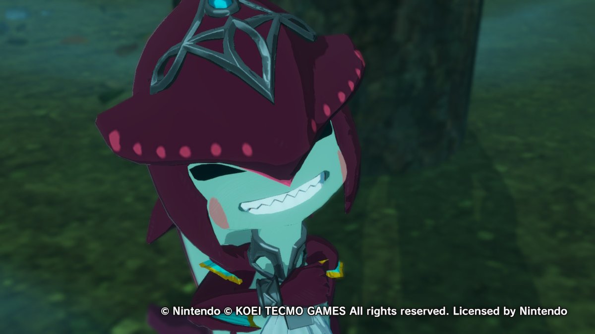 BomberGoblin's tweet photo. #HyruleWarriors #AgeofCalamity #Zelda #NintendoSwitch https://t.co/hSP43s9XrB