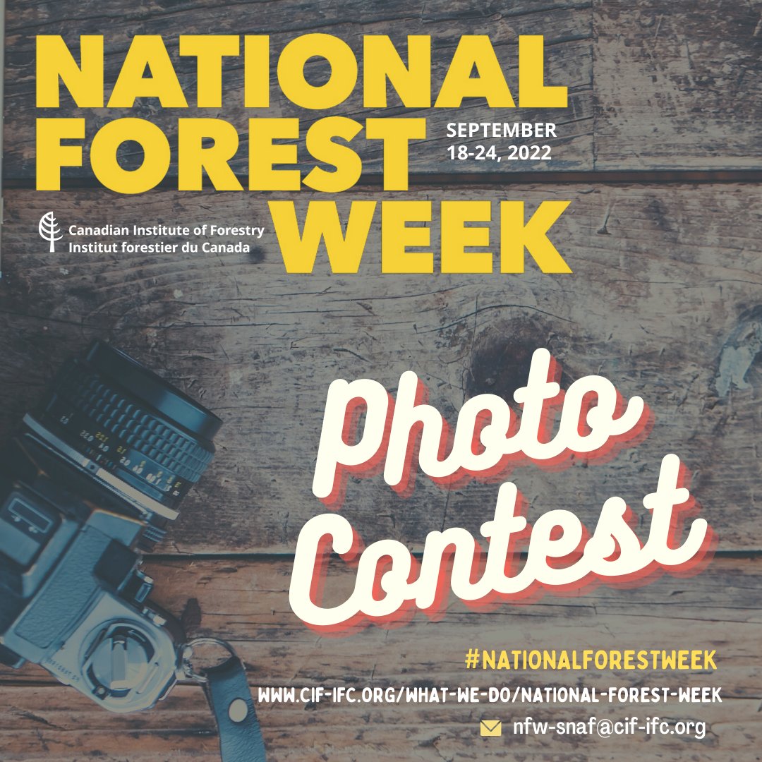 CIF_IFC's tweet photo. To celebrate #NationalForestWeek, we invite you to participate in our 3rd annual national photo contest! 📸🍁 The contest will run through the duration of National Forest Week (September 18-24, 2022).

Learn more: https://t.co/Ys7mI8deFh https://t.co/x6vkikpkcD