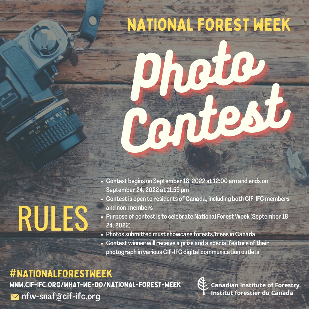 CIF_IFC's tweet photo. To celebrate #NationalForestWeek, we invite you to participate in our 3rd annual national photo contest! 📸🍁 The contest will run through the duration of National Forest Week (September 18-24, 2022).

Learn more: https://t.co/Ys7mI8deFh https://t.co/x6vkikpkcD