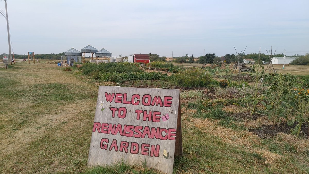 Kevin Smook tweet media