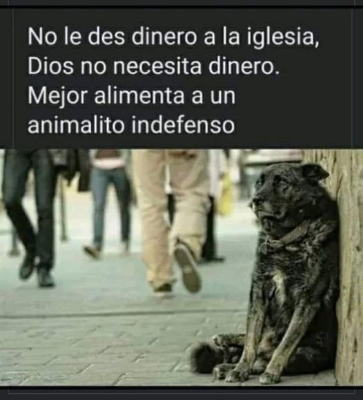 HELIODOPTERO's tweet photo. Alimenta a un animalito. https://t.co/1lSnTIMCxV