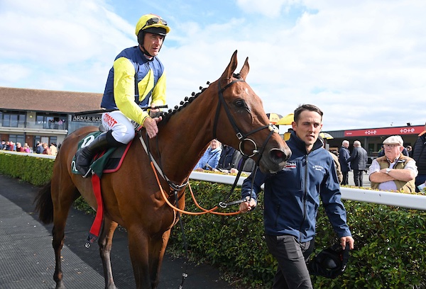 Gordon Elliott tweet media