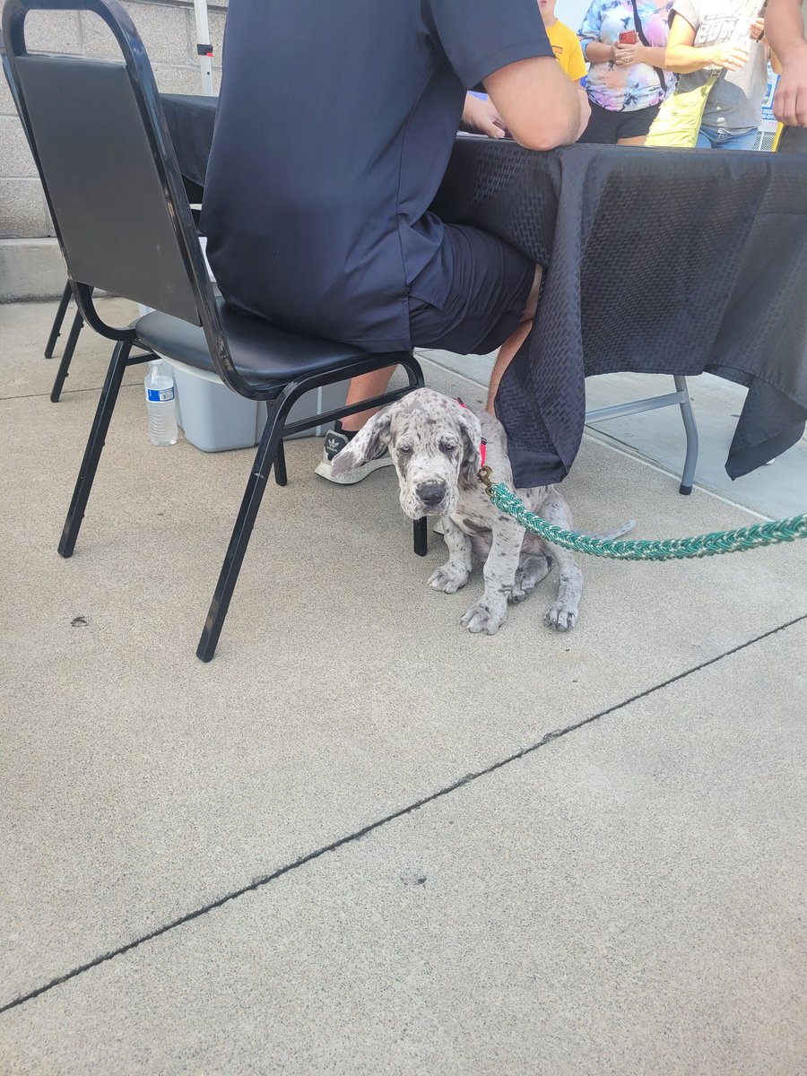 mickeywill55's tweet photo. @ChaseBriscoe_14  Really enjoyed meeting you and Blue today!  Appreciated the autographs and the time you spent with all the fans!  Now go win @BMSupdates https://t.co/ecnB3UzuTk