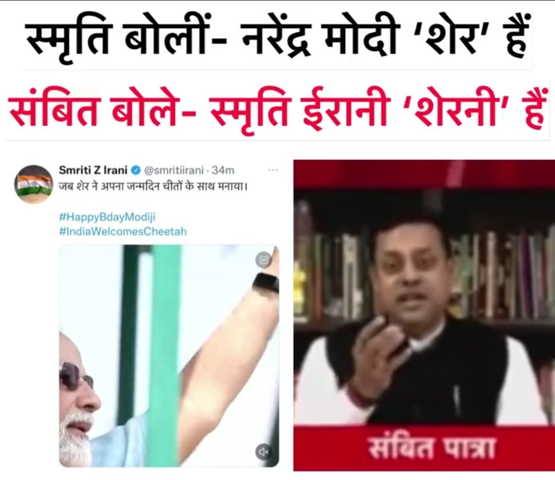 ये शेर और वो शेरनी बात ख़त्म