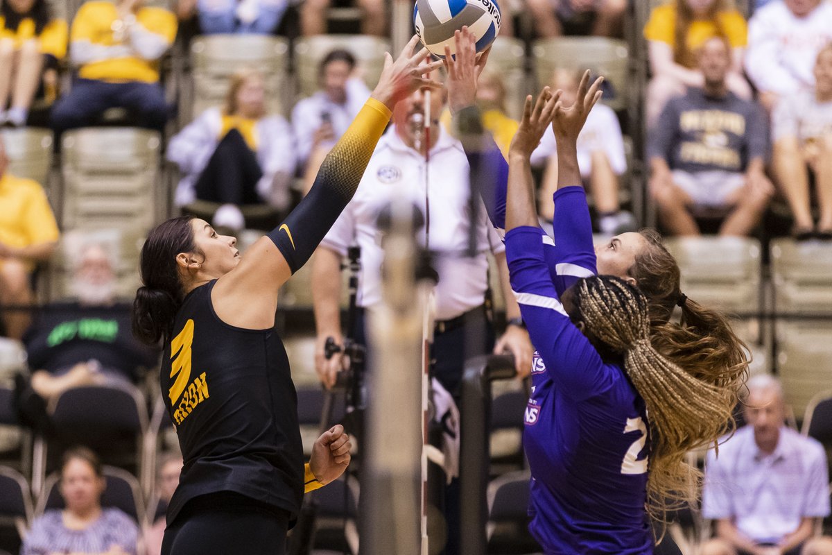 Mizzou Volleyball tweet media