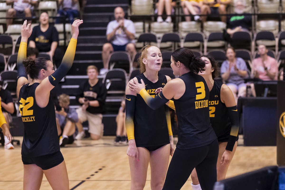 Mizzou Volleyball tweet media