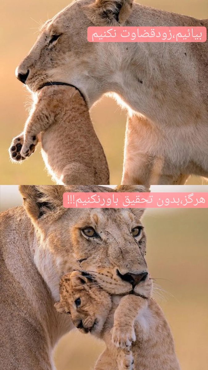 soleimanyadoll1's tweet photo. #بدون_تحقیق_باور_نکنیم
#زود_قضاوت_نکنیم https://t.co/ukmfFbcVaZ