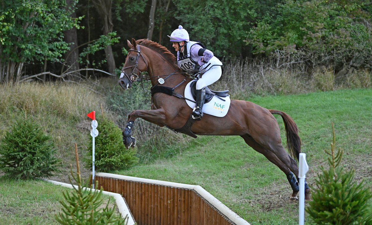 BlenheimHorse's tweet photo. Blenheim Cross Country Day β
Malin Hansen-Hotopp leads going into the showjumping π©πͺ
#BPIHT https://t.co/otvace0A7h