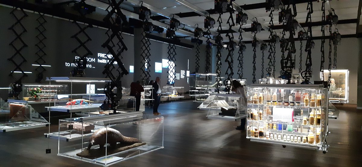 HolzerAngela's tweet photo. @bonstabi Bin ausgesprochen begeistert vom Humboldtforum, gelungenes Konzept rundherum. Vergangenheit und Gegenwart verbunden, Geschichte der Macht und ihrer Brechung, auch hinsichtlich der Weltkulturen und der Ausbeutung, klar durchdacht. Bild, Video, Ton, verbunden, Medien klug genutzt. https://t.co/p2ydp4ef11