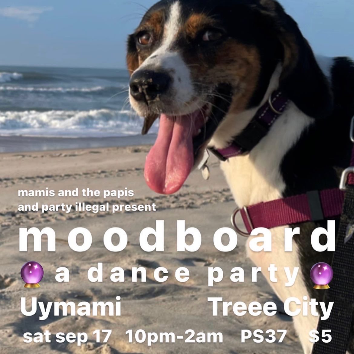 Treee City tweet media