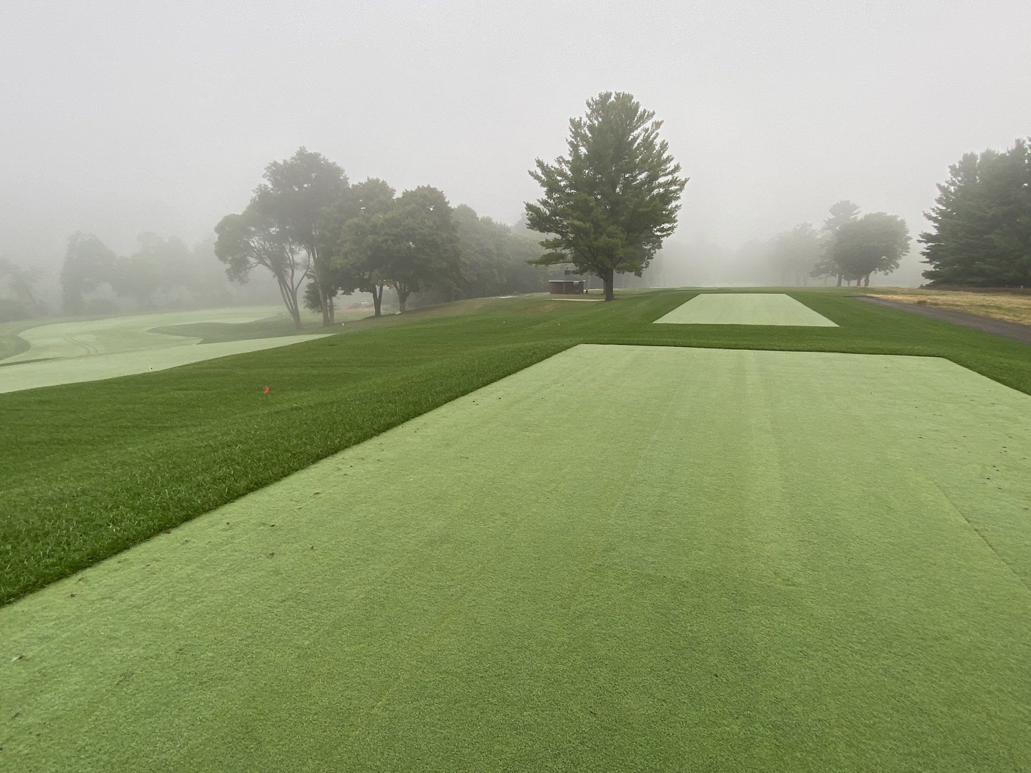 LHCC Grounds on Twitter "This morning’s fog vs yesterday’s afternoon