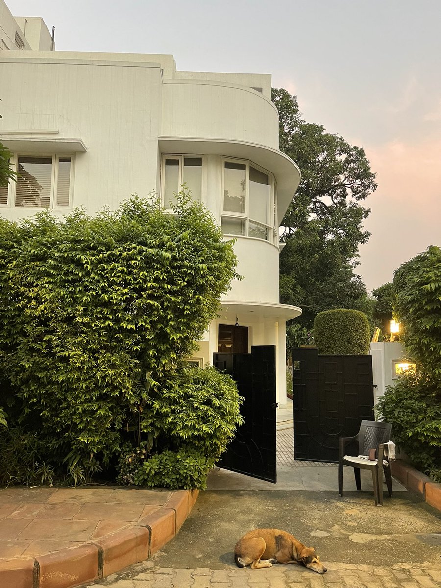 thedelhiwalla's tweet photo. good evening, solitary scooby… portrait of a community dog https://t.co/nVIGuKcHBS