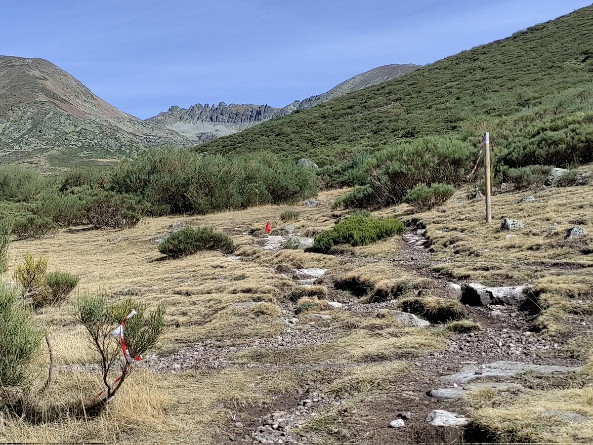 MelonZtrail's tweet photo. Señalado para mañana el recorrido Maratón Montaña Palentina #MMP22 Gran trabajo de la organizacion y del club #utmp22 A por ello, campeones!! #trailrunning https://t.co/Zfz37Wb4g4