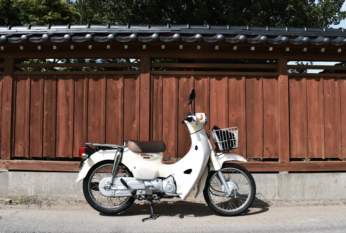 lj_rs1's tweet photo. カブ横シリーズin佐渡 https://t.co/LNqD92udC3